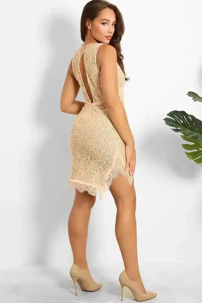 Nude Lace Mesh V-Neck Sleeveless Bodycon Dress