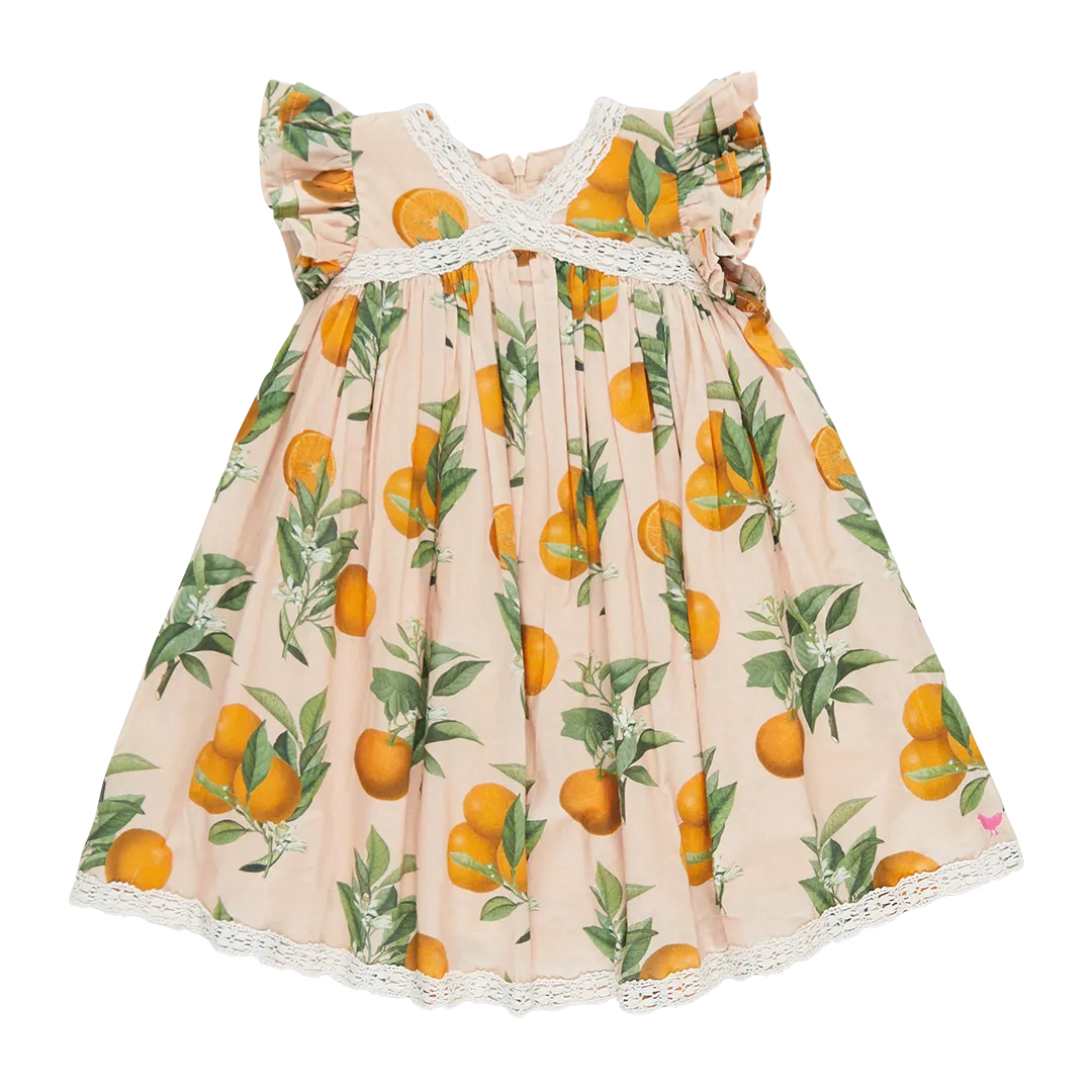 Pink Chicken Girls Katherine Dress - Pink Botanical Oranges