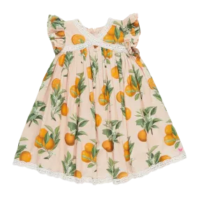 Pink Chicken Girls Katherine Dress - Pink Botanical Oranges