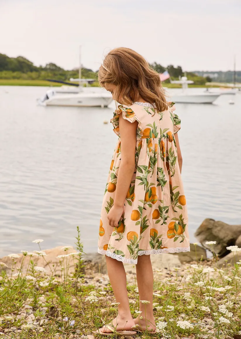 Pink Chicken Girls Katherine Dress - Pink Botanical Oranges